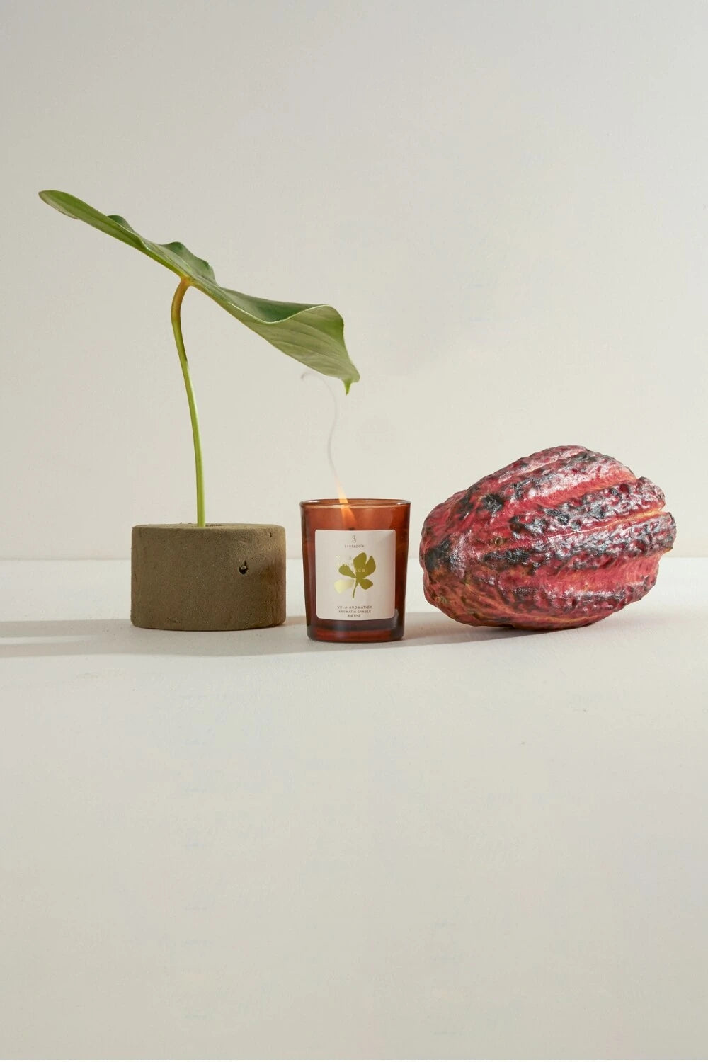 Mata Atlântica Vela Aromática 50g