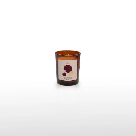 Amazônia Vela Aromática 50g
