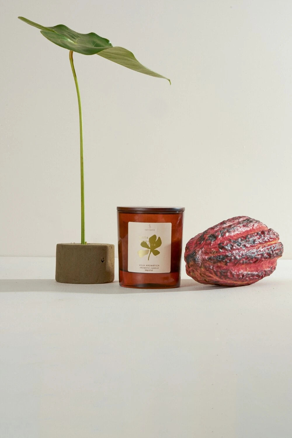 Mata Atlântica Vela Aromática 190g