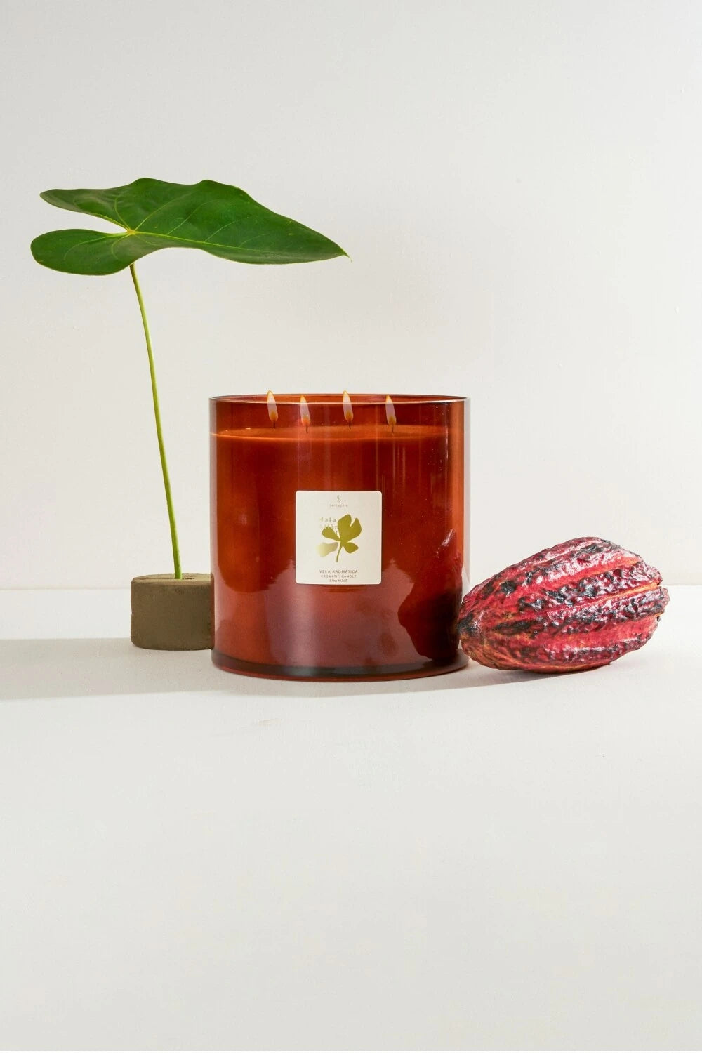 Mata Atlântica Vela Aromática 2,5kg