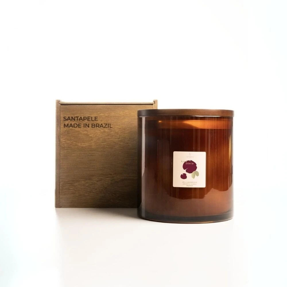 Amazônia Vela Aromática 50g